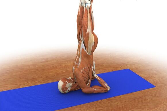 Potency exercise Birch