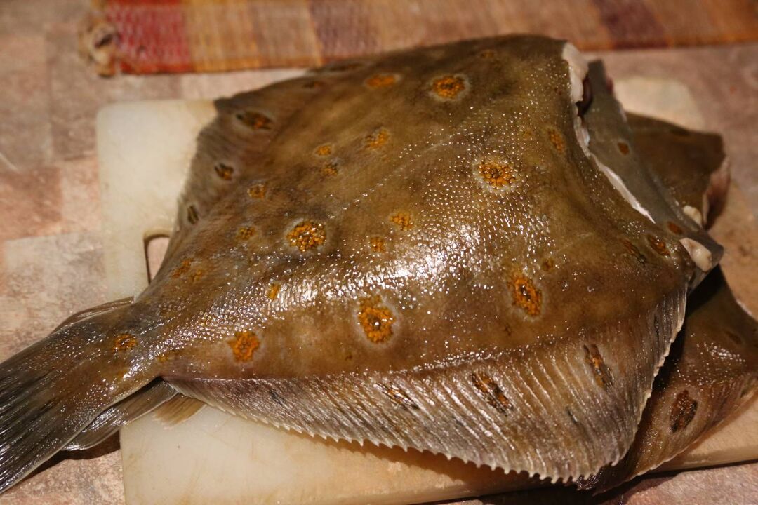 flounder for potency